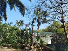 -深圳国际园林花卉博览园