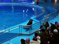 -多彩贵州城极地海洋世界