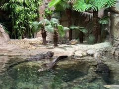 -上海海洋水族馆