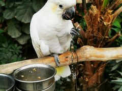 -南宫五洲植物乐园