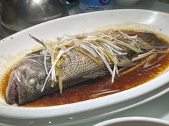 -日昌餐馆(Mini西点茂店)