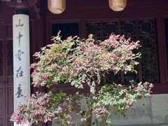 -天一阁博物院