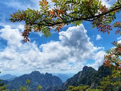 -黄山风景区