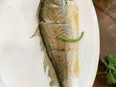 黄花鱼饭-长平肥姐白粥·海鲜打冷