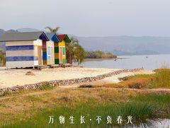 -月亮湾湿地公园