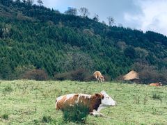 -硗碛藏寨·神木垒景区