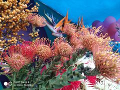 -重庆市江北嘴中央商务区中央公园