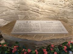 -白鹤梁水下博物馆
