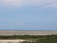 -北海金海湾红树林生态旅游区