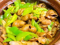 -并州大牌档之醉轻尘