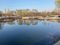 -群力丁香公园