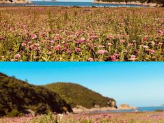 -东海半边山旅游度假区