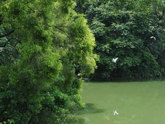 -人民公园(罗湖区)