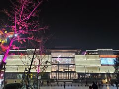 -大唐不夜城