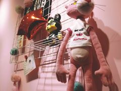 -十年猫舍·猫咪专门店(普陀店)