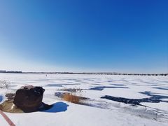 -丁香湖公园