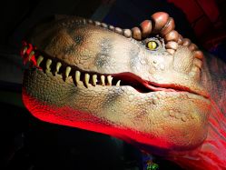 -恐龙探索乐园(磁器口店)