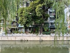 -荔湾湖公园