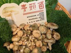 -福照楼汽锅鸡·云南菜(护国路店)