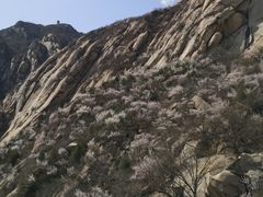 -北京凤凰岭
