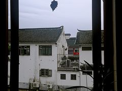 -普洱茶府(博乐广场店)