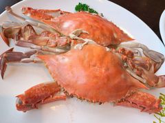 -赶海部落海鲜城(海阳路店)