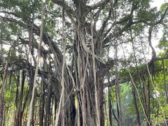 -西湖公园(鼓楼区)
