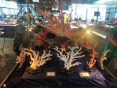 -绮丽珊瑚(台北101旗舰门市店)