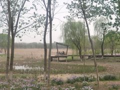 -东郊湿地公园