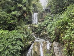 -鹿院坪生态旅游景区