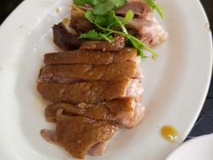 -乌文新澄海卤鹅店