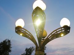 -宝安西湾红树林湿地公园