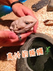 -七巧国萌宠乐园(龙湖天街店)