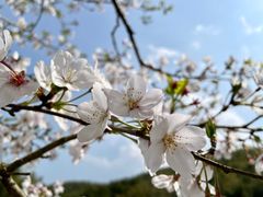 -宁波浙东大竹海景区