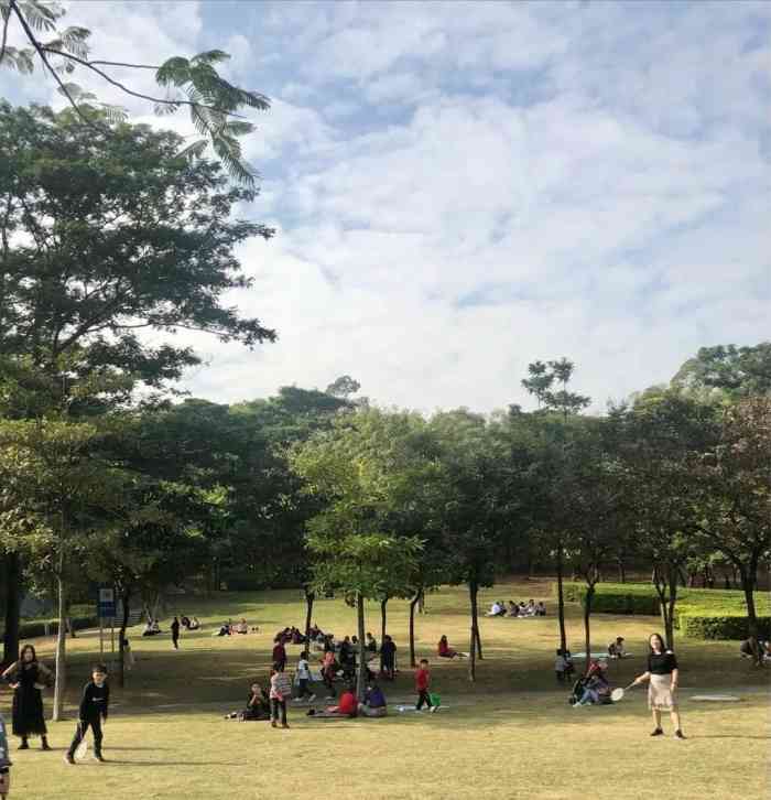 松岗公园-"位置:宝安区松岗麒麟山. 交通:附近5."-大众点评移动版