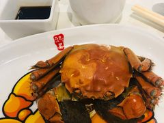 大閘蟹-鸿星海鲜酒家(格兰中心店)