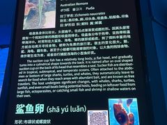 -泉城欧乐堡海洋极地世界