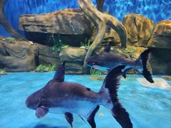 -石林冰雪海洋世界