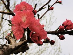 -太阳宫公园