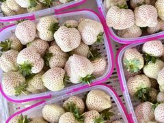 -东方鼎信农副产品交易中心