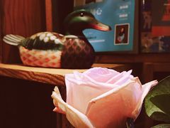 -MUSEE CAFE(保利·时光里店)
