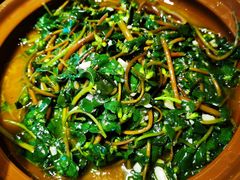 清炒马齿苋-徽三说·土徽菜·中国徽菜连锁品牌(一中店)