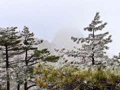 -黄山风景区