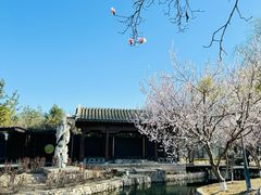 -春风习习