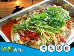 -川湘園(西华路店)