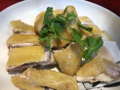 湛江白切骟鸡-银珠渔港·海鲜砂锅粥