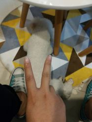 -Hands Nail专业美甲美睫
