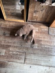 -青木造型HAIR·あおき髪を刈る潮人店