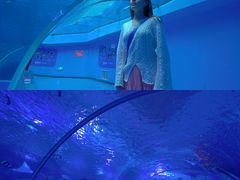 -前王院•巧克力海鲜市集餐厅(万平口店)