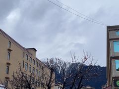 -南渝食府.墨脱石锅松茸鸡